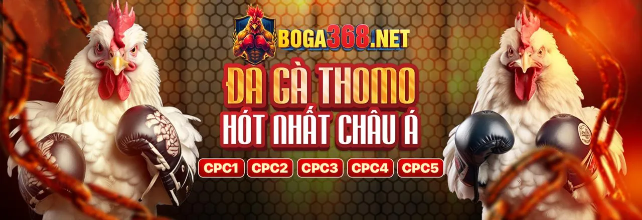 Đá Gà Trực Tuyến mocbai App
